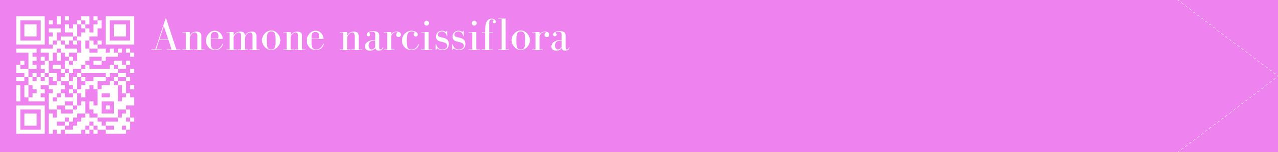 étiquette 2