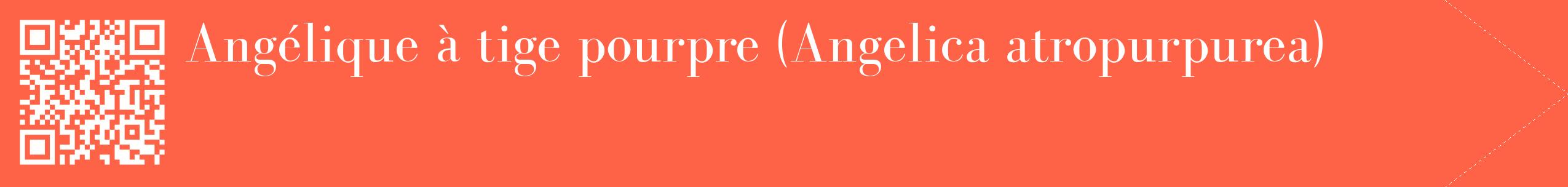 étiquette 2