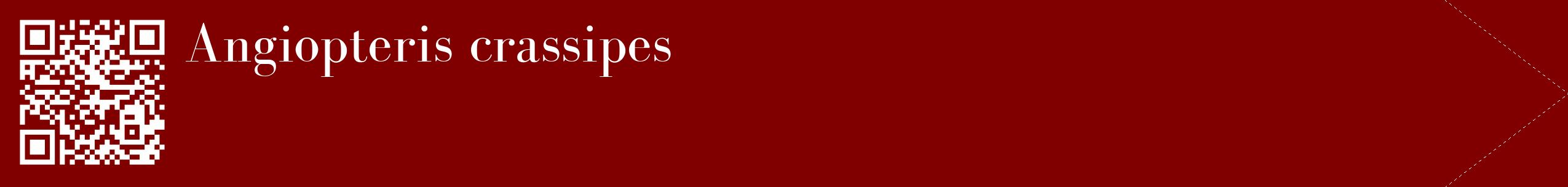 étiquette 2