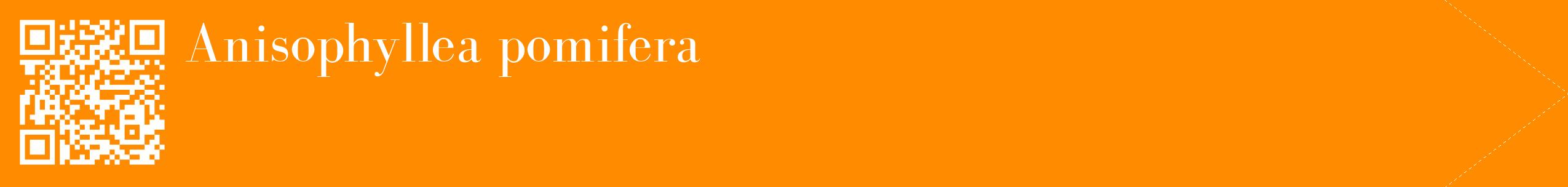 étiquette 2