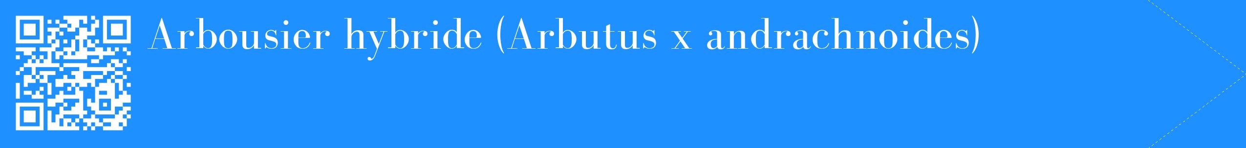 étiquette 2