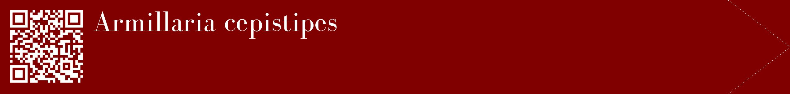 étiquette 2