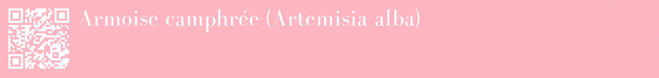 étiquette 2