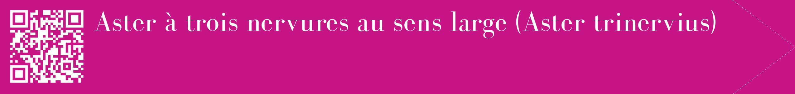 étiquette 2