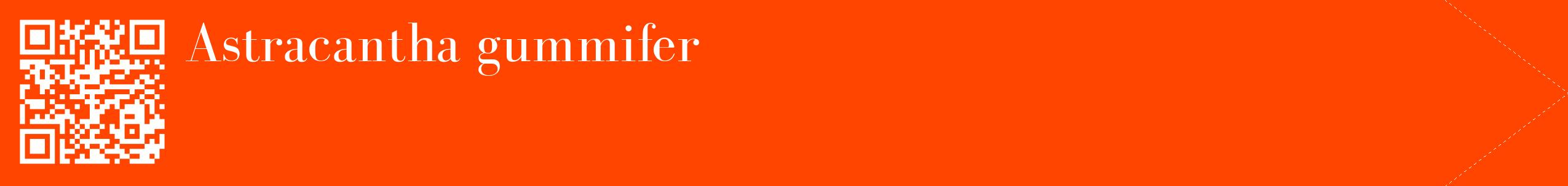 étiquette 2