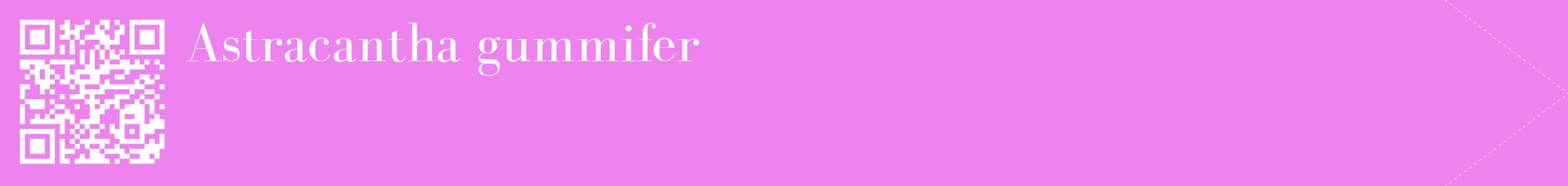 étiquette 2