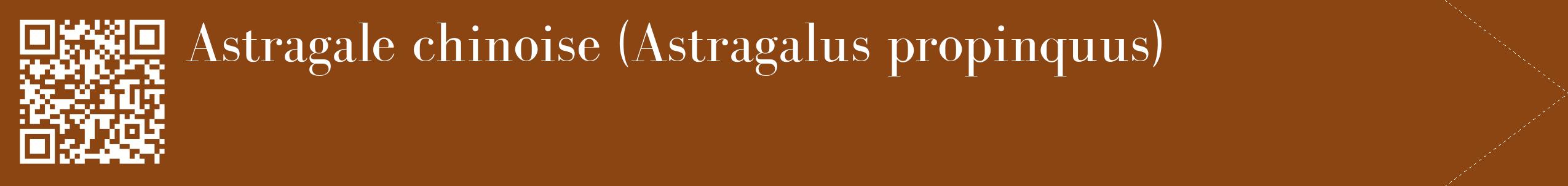étiquette 2