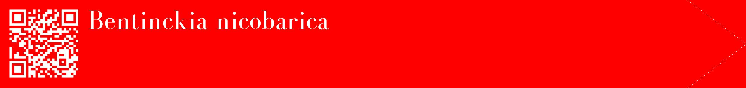 étiquette 2