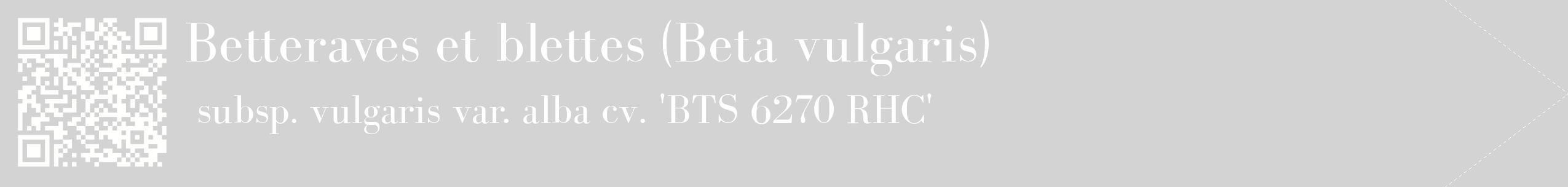 étiquette 2