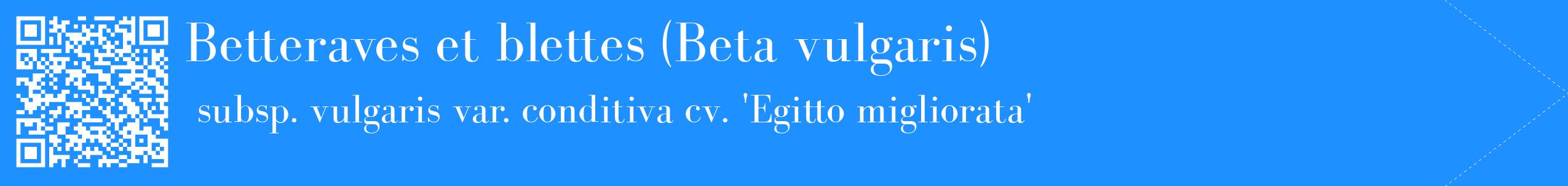étiquette 2