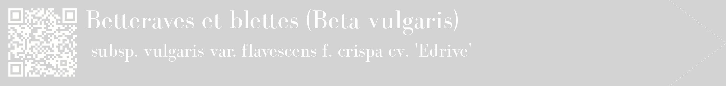 étiquette 2
