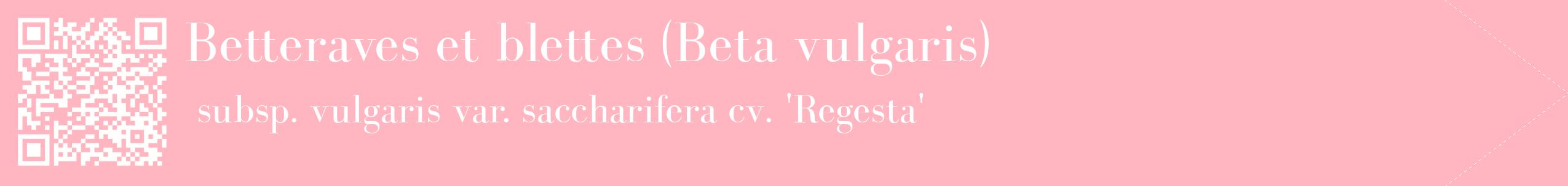 étiquette 2