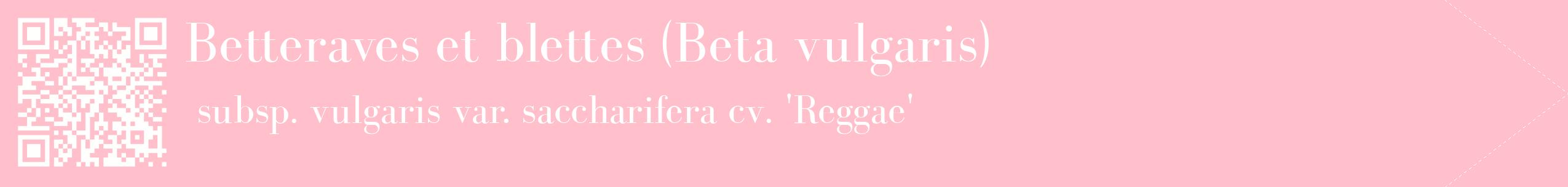 étiquette 2