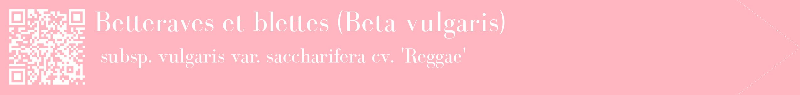 étiquette 2