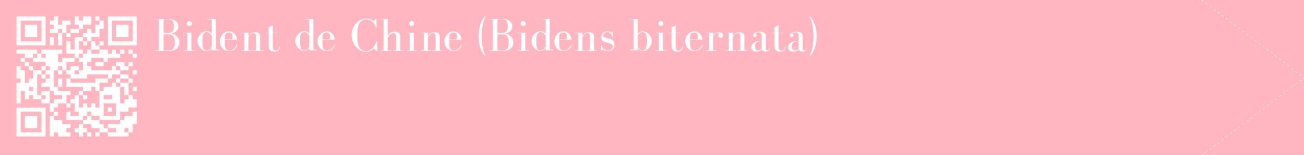 étiquette 2