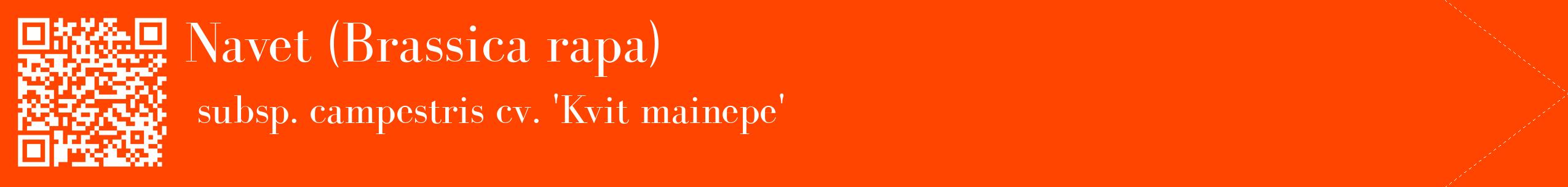 étiquette 2