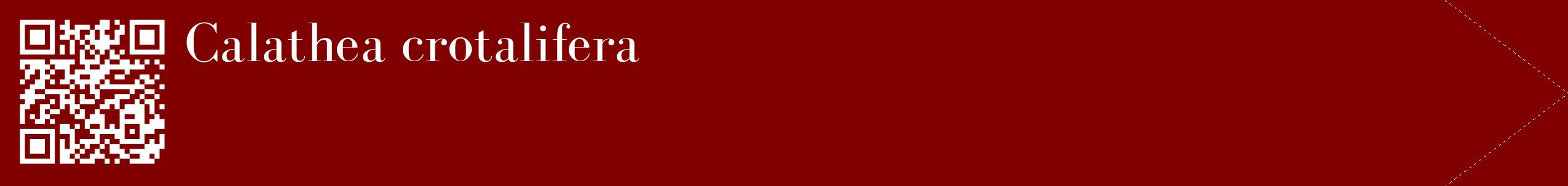 étiquette 2