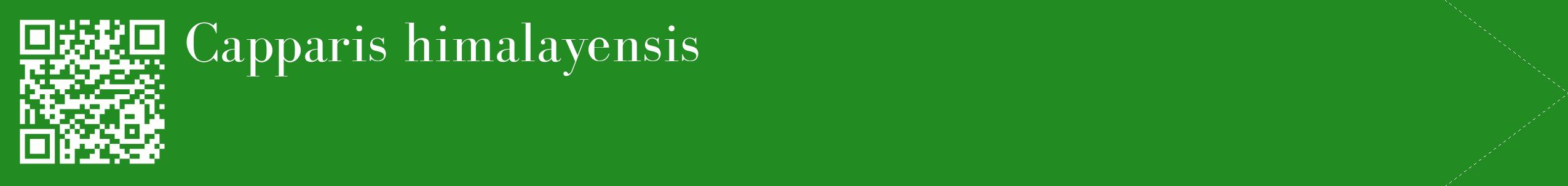étiquette 2