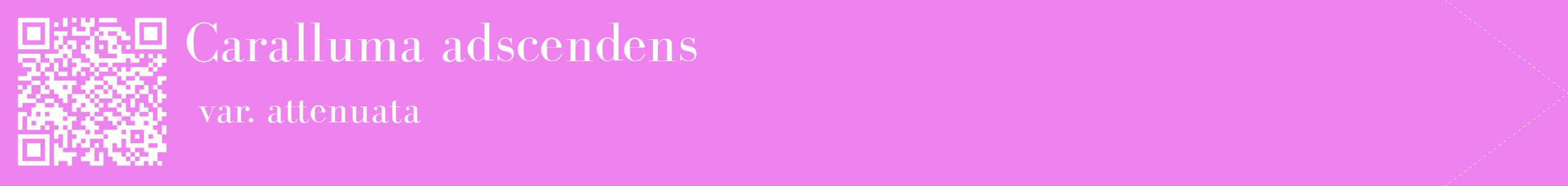 étiquette 2