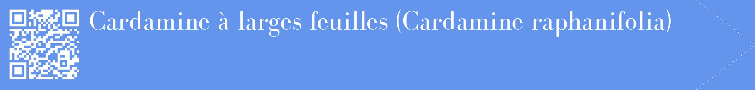 étiquette 2