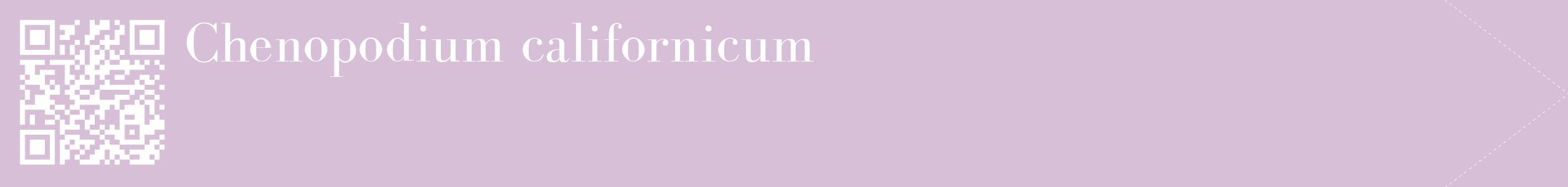 étiquette 2