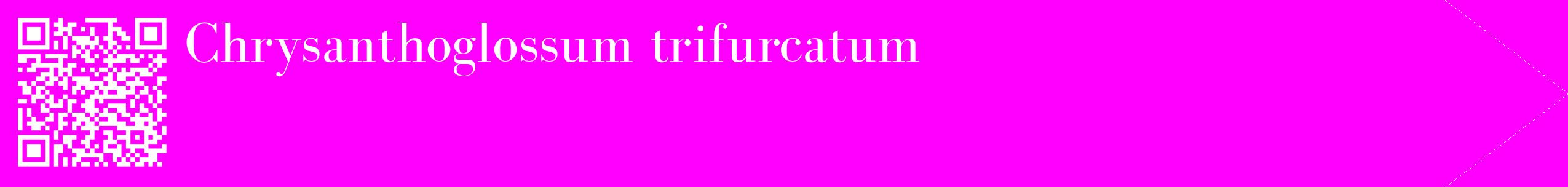 étiquette 2