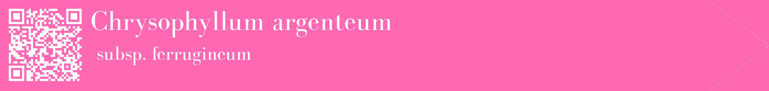 étiquette 2