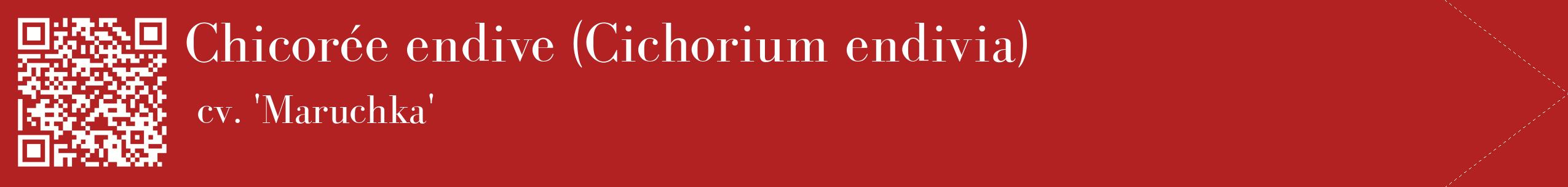 étiquette 2