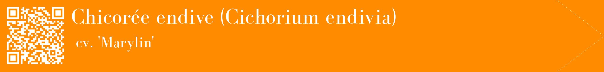 étiquette 2