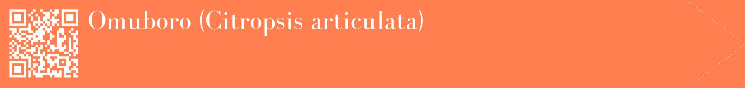 étiquette 2