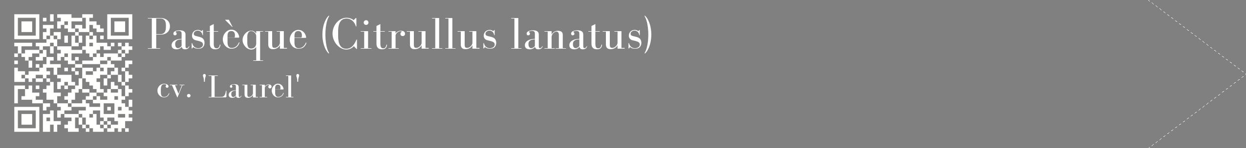étiquette 2