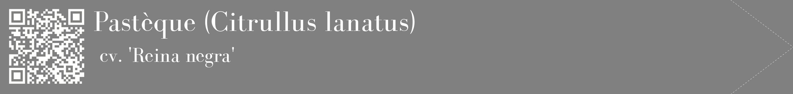 étiquette 2