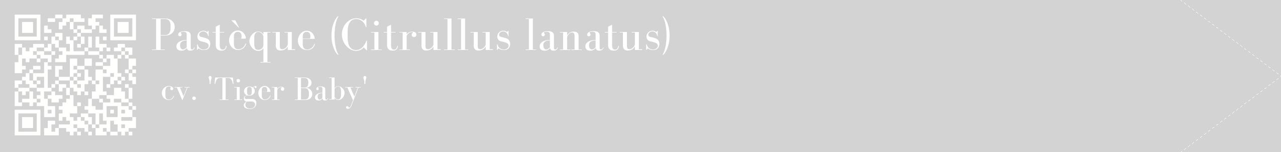 étiquette 2