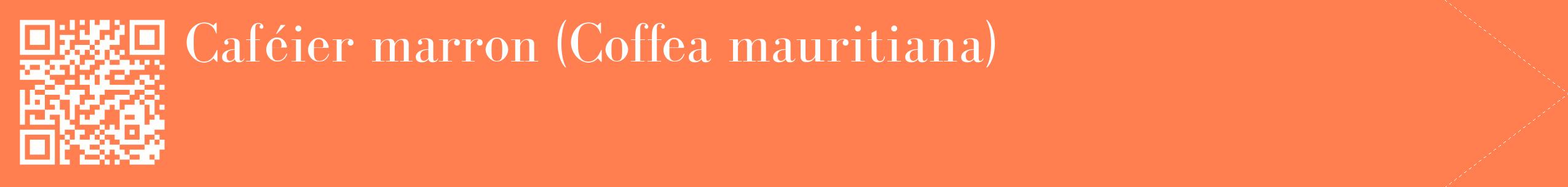étiquette 2