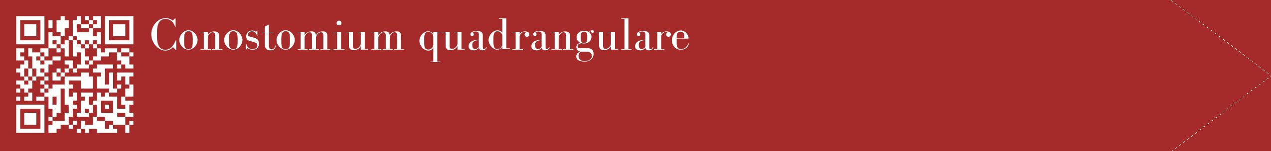 étiquette 2