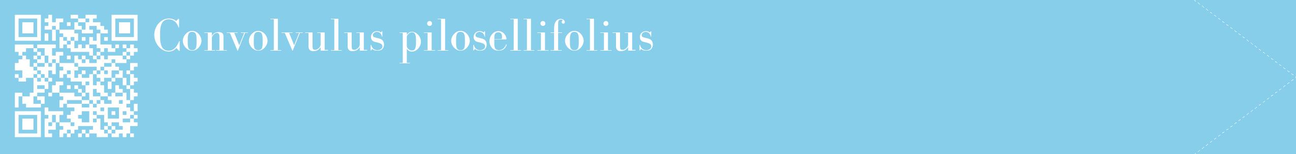 étiquette 2