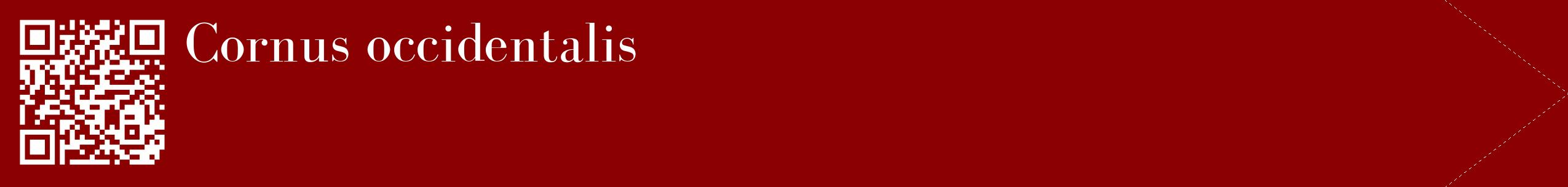 étiquette 2