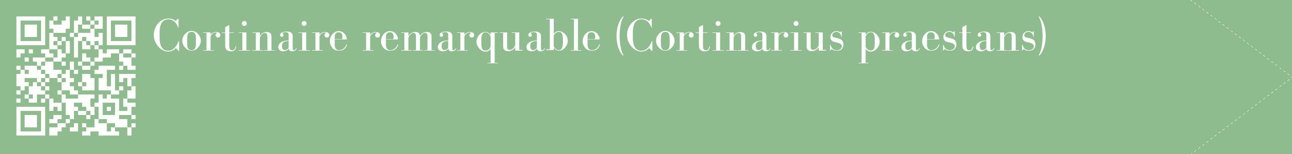 étiquette 2