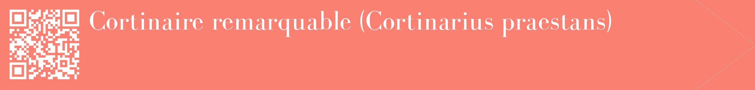 étiquette 2