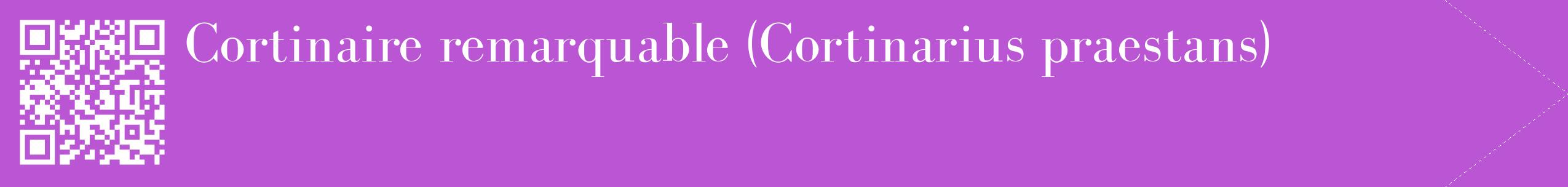 étiquette 2