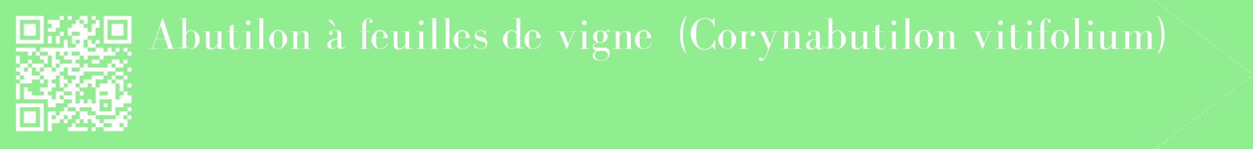 étiquette 2
