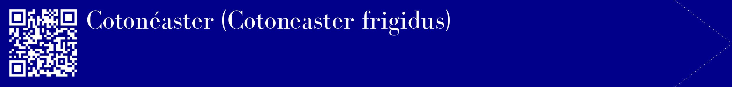 étiquette 2