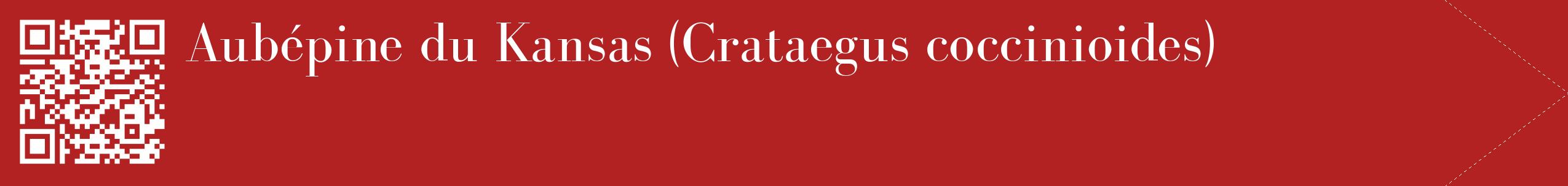 étiquette 2