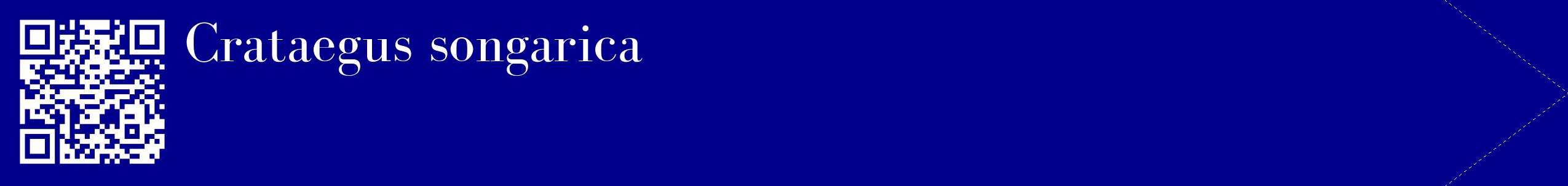 étiquette 2
