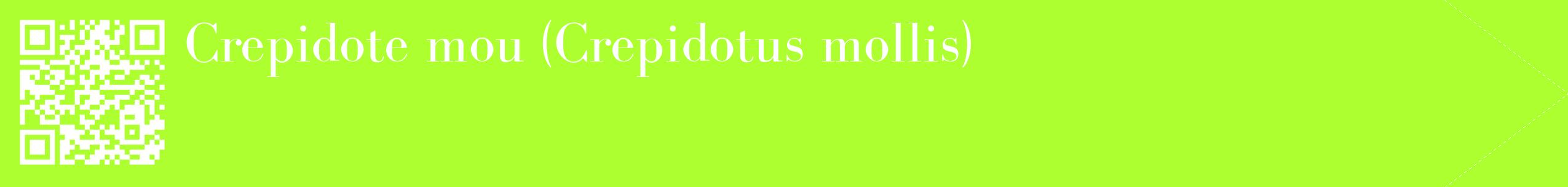 étiquette 2