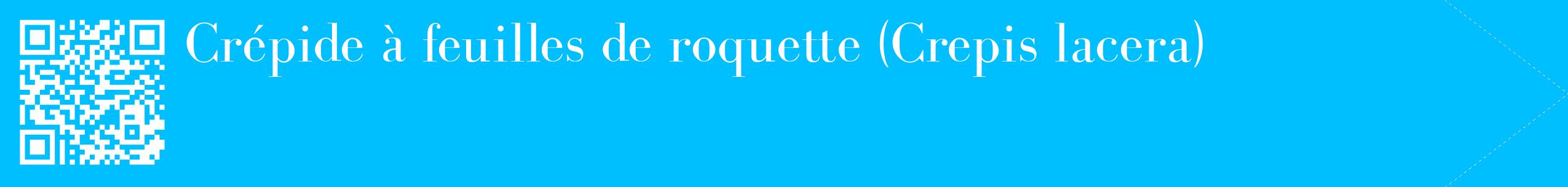 étiquette 2