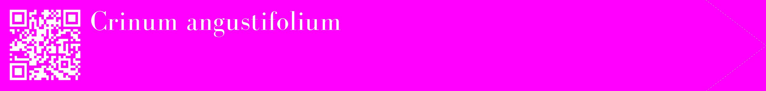 étiquette 2