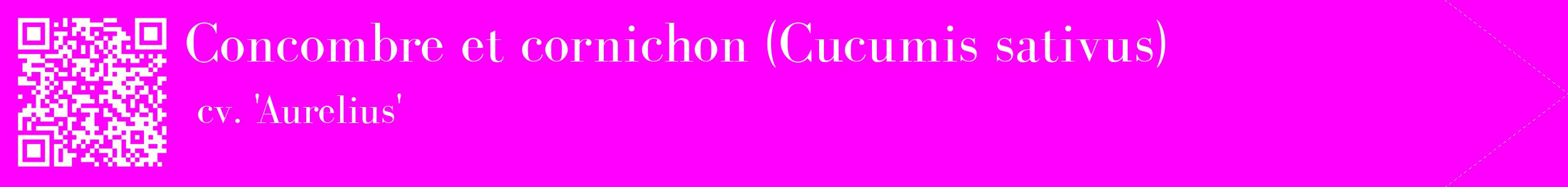 étiquette 2
