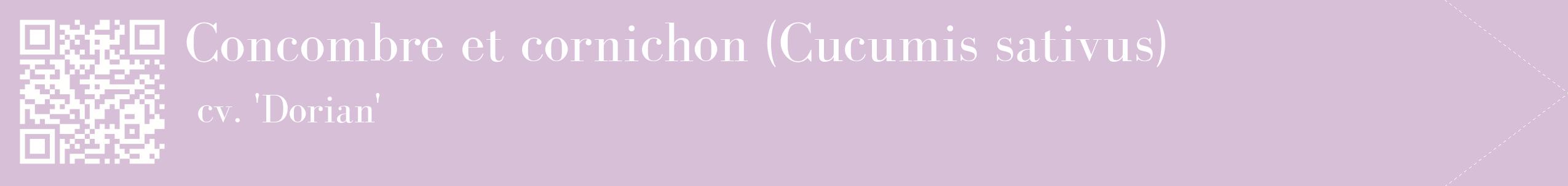 étiquette 2