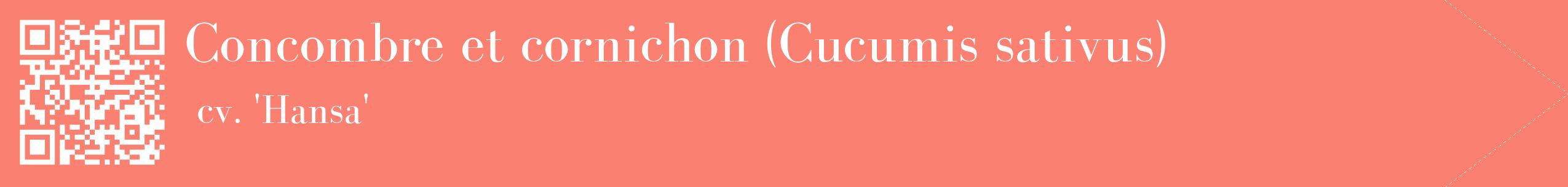étiquette 2